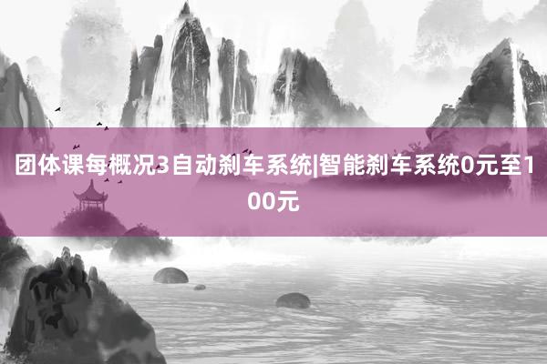 团体课每概况3自动刹车系统|智能刹车系统0元至100元